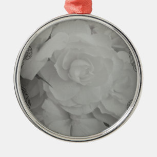 Ornamento Begonia blanco