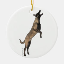 Ornamento belga malinois