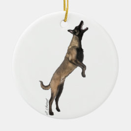 Ornamento belga malinois