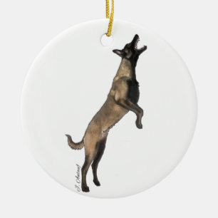 Ornamento belga malinois