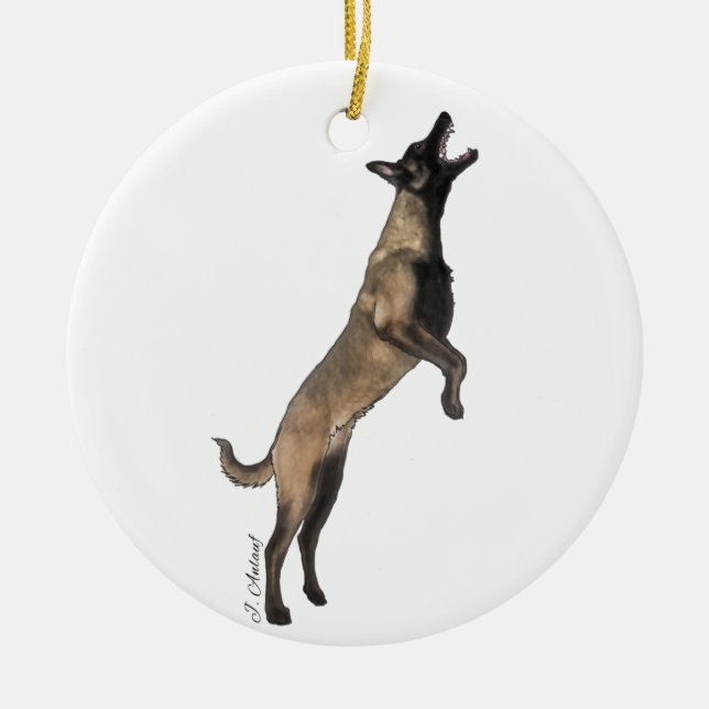 Ornamento belga malinois (Frente)