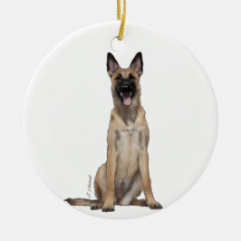 Ornamento belga malinois
