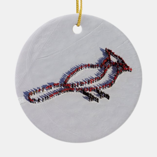 Ornamento bilateral cardinal (Frente)