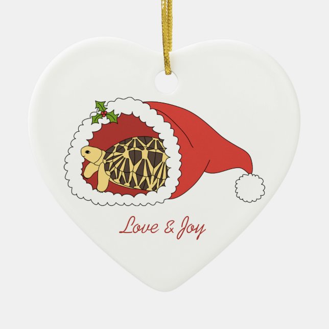 Ornamento birmano de la tortuga de la estrella (Frente)