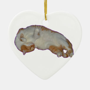 Ornamento blanco anaranjado lindo del gato