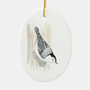 Ornamento Blanco-breasted del trepatroncos