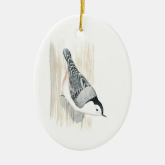 Ornamento Blanco-breasted del trepatroncos