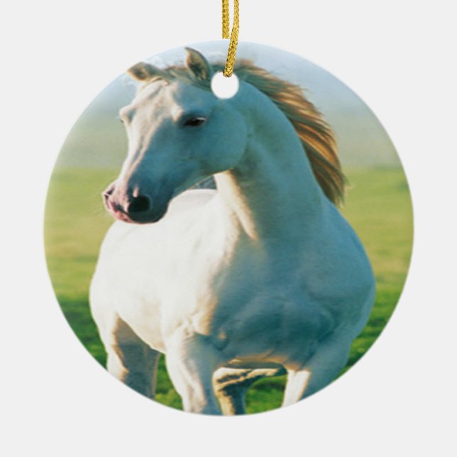 Ornamento blanco de caballos (Frente)