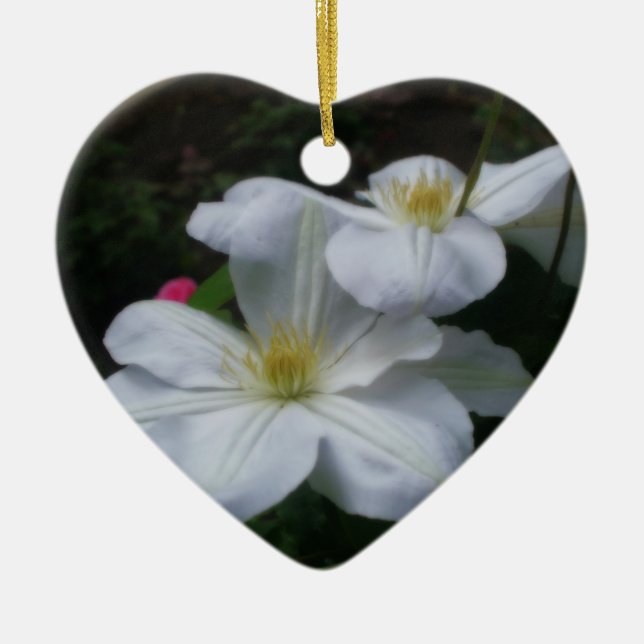 Ornamento blanco de la flor de los pares del (Frente)