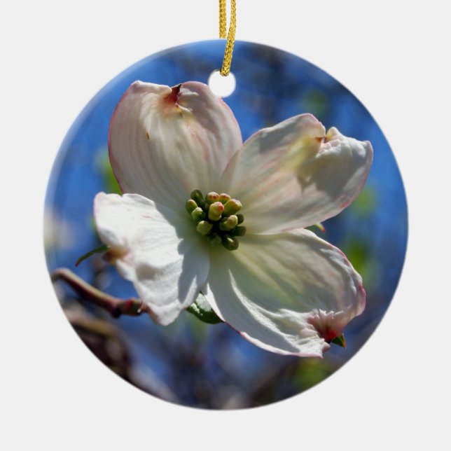 Ornamento blanco de la flor del Dogwood (Frente)