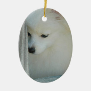 Ornamento blanco de Pomeranian