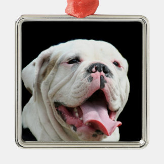 Ornamento blanco del bulldog