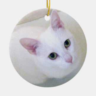 Ornamento blanco del gato