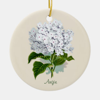 Ornamento blanco del Hydrangea