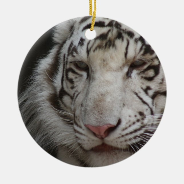 Ornamento blanco del tigre (Frente)