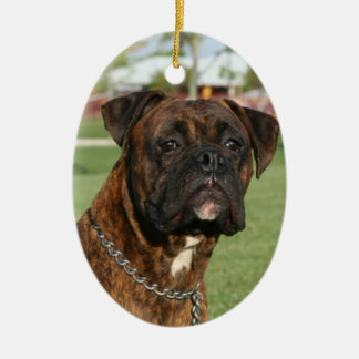 Ornamento Brindle del boxeador