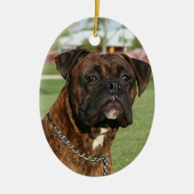 Ornamento Brindle del boxeador (Frente)