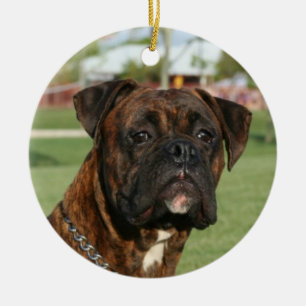 Ornamento Brindle del boxeador