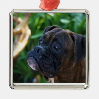 Ornamento Brindle del perro del boxeador