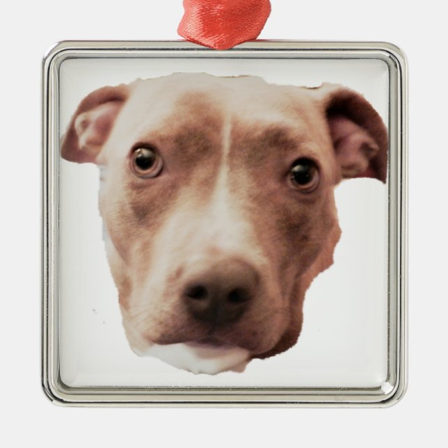 Ornamento BRINDLE PIT BULL (Frente)