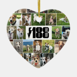 Ornamento cardíaco de dos lados del grupo de resca