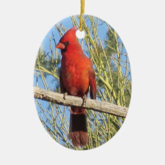 Ornamento cardinal