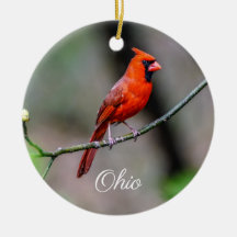 Ornamento cardinal de Ohio