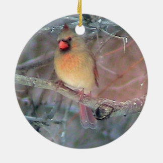 Ornamento cardinal femenino del navidad