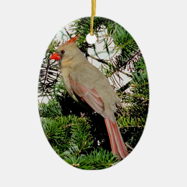 Ornamento cardinal femenino del navidad (Frente)