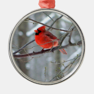 Ornamento Cardinal Premium Cheery
