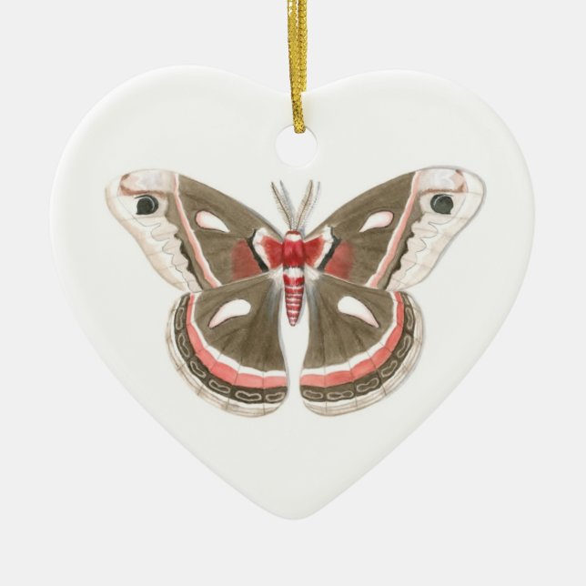 Ornamento Cecropia Moth (Frente)