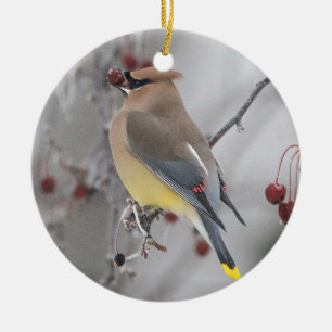 Ornamento Cedar Waxwing Eating Berries