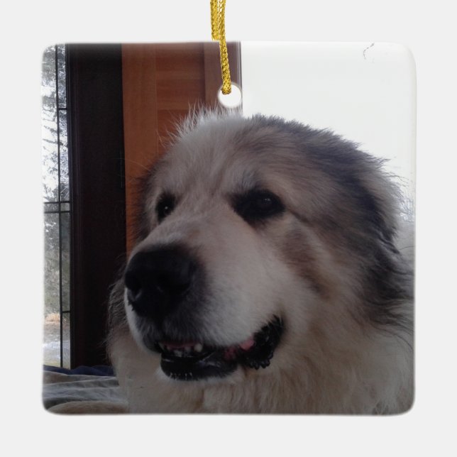 Ornamento cerámico (Anverso)