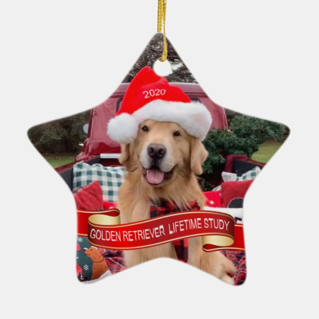 Ornamento cerámico (Atrás)