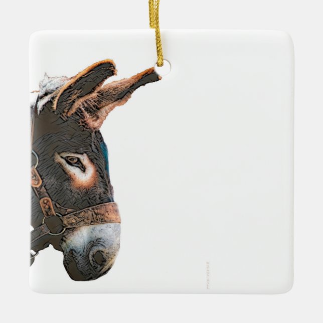 Ornamento cerámico - Burro (Anverso)