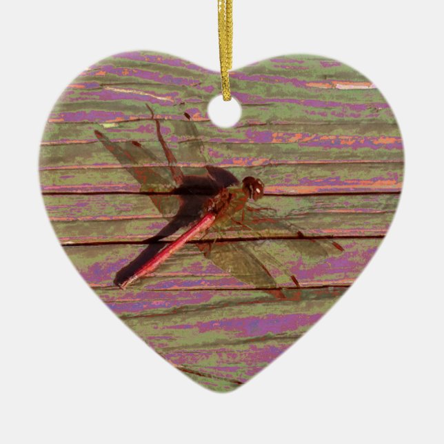 Ornamento cerámico colorido de la libélula (Frente)