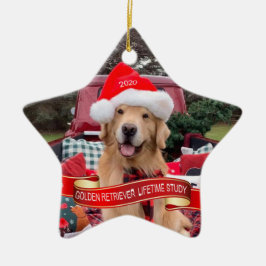 Ornamento cerámico de 2020