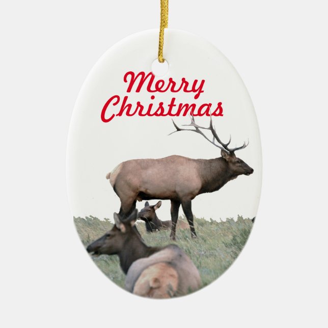 Ornamento cerámico de alce (Frente)