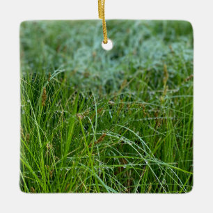 Ornamento cerámico de California Meadow Sedge