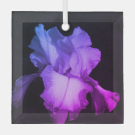Ornamento cerámico de foto de iris púrpura brillan