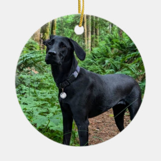 Ornamento cerámico de personalizable