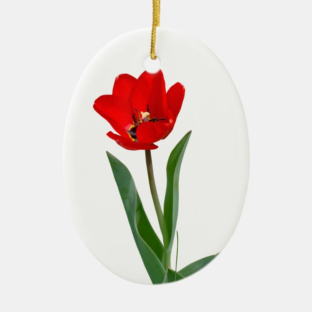 Ornamento cerámico de Tulips (Frente)