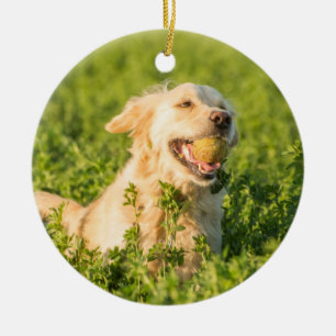 Ornamento cerámico Golden Retriever