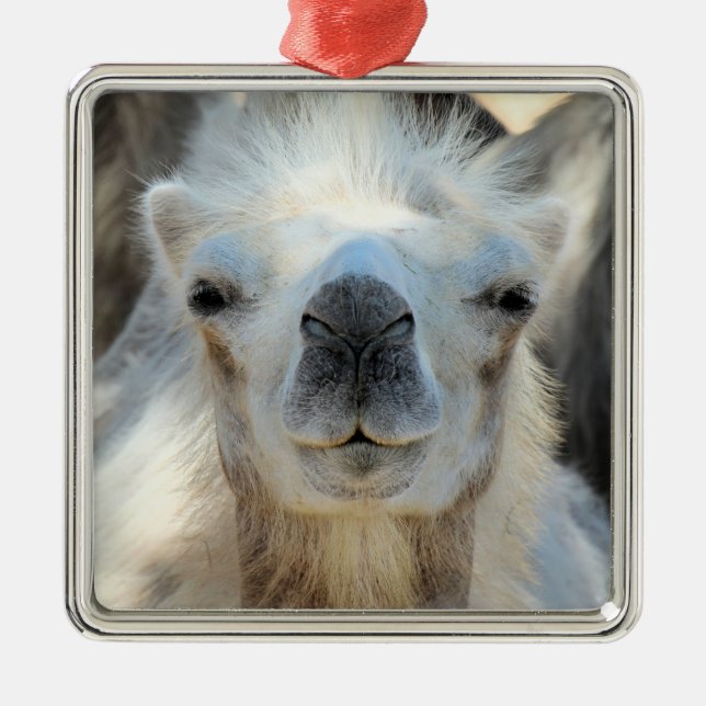 Ornamento cerámico K2 (Frente)