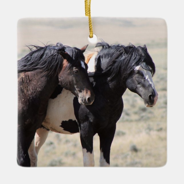 Ornamento cerámico McCullough Peaks Washakie (Anverso)