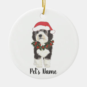 Ornamento cerámico personalizado de Bernedoodle