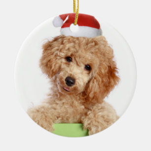 Ornamento cerámico Poodle Santa