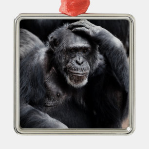 Ornamento chimpancé antiguo