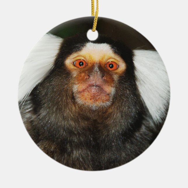 Ornamento colgante del Marmoset (Frente)