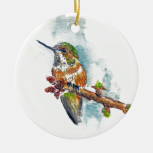 Ornamento - colibrí, lápiz de la acuarela